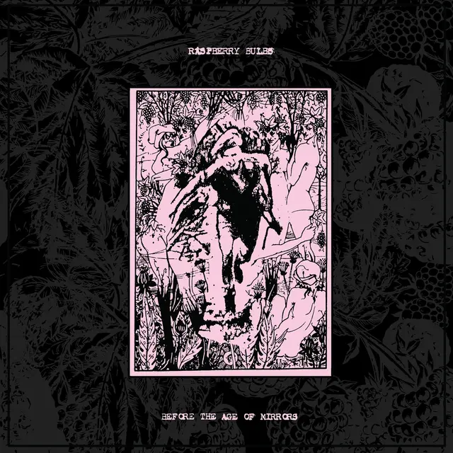 Raspberry Bulbs Before The Age Of Mirrors LP (LP) 