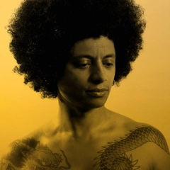 José James No Beginning No End 2 (LP)