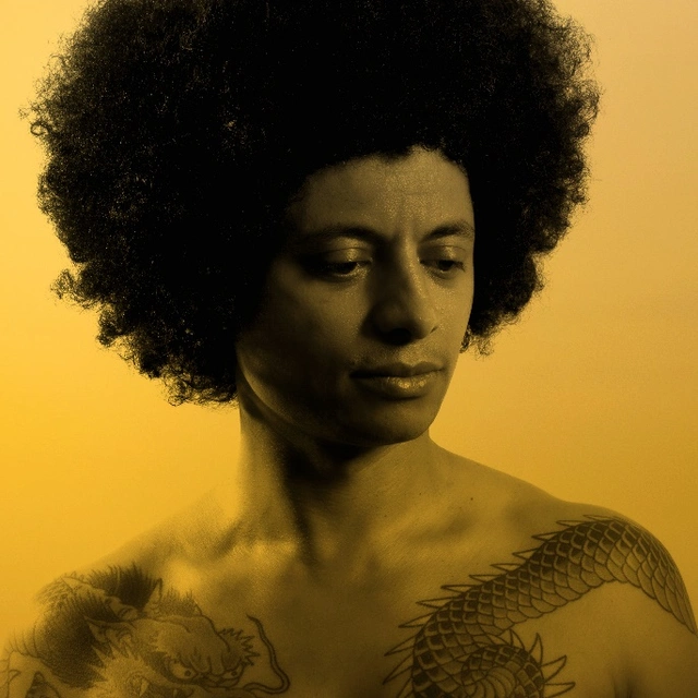 José James No Beginning No End 2 (LP) 