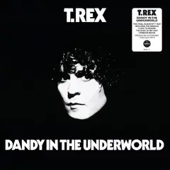 Marc Bolan &amp; T.Rex Dandy In The Underworld - LTD (LP)