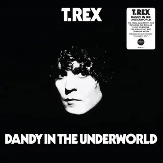 Marc Bolan &amp; T.Rex Dandy In The Underworld - LTD (LP)