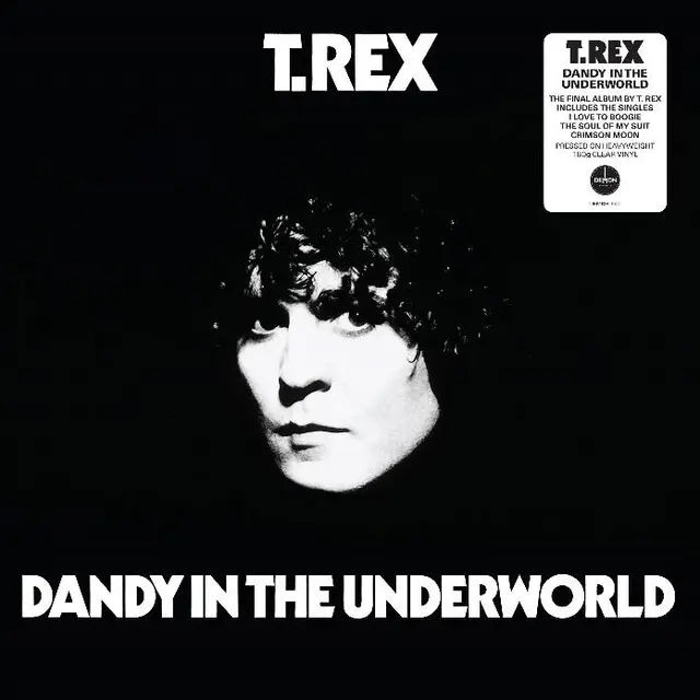 Marc Bolan & T.Rex Dandy In The Underworld - LTD (LP) 