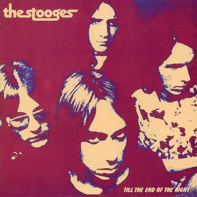 The Stooges Til The End Of The Night (LP) 