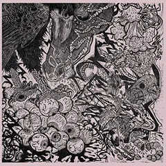 Gentle Stranger Love And Unlearn (LP)