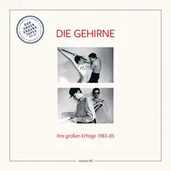Die Gehirne Tapetopia: Ihre Grossen Erfolge (LP)
