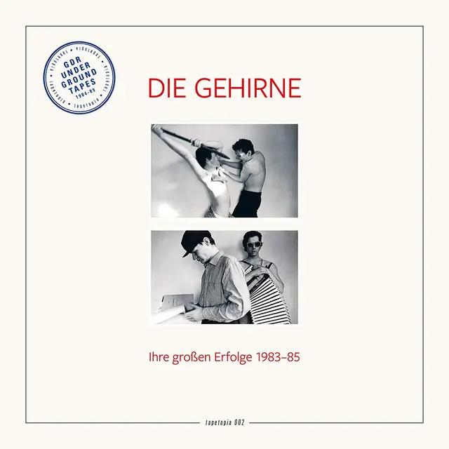 Die Gehirne Tapetopia: Ihre Grossen Erfolge (LP) 