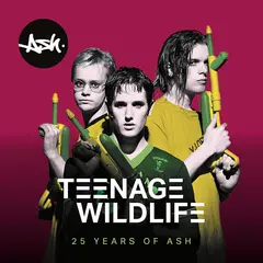 Ash Teenage Wildlife: 25 Years Of - (2LP)