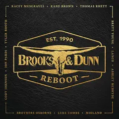 Brooks &amp; Dunn Reboot (LP)