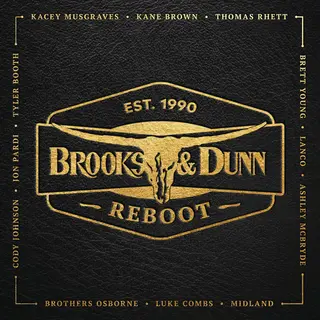 Brooks &amp; Dunn Reboot (LP)