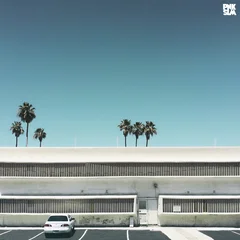 Beach Skulls Slow Grind (LP)