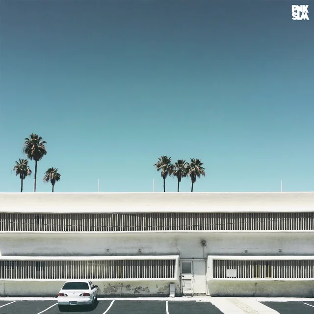 Beach Skulls Slow Grind (LP) 