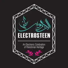 Diverse Artister Electrosteen (LP)