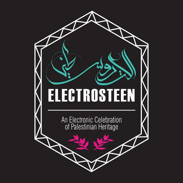 Diverse Artister Electrosteen (LP) 