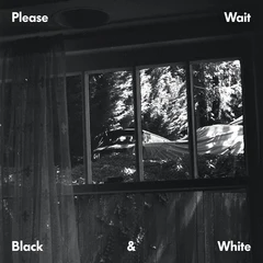 Please Wait Black &amp; White (LP)