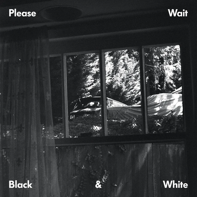 Please Wait Black & White (LP) 