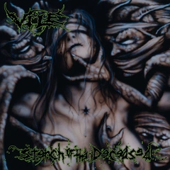 Vile Stench Of The Deceased (LP)