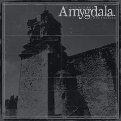 Amygdala Our Voices Will Soar Forever (LP)