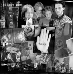 Planet Bee Selections 1994-1996 / Lost Album (2LP)