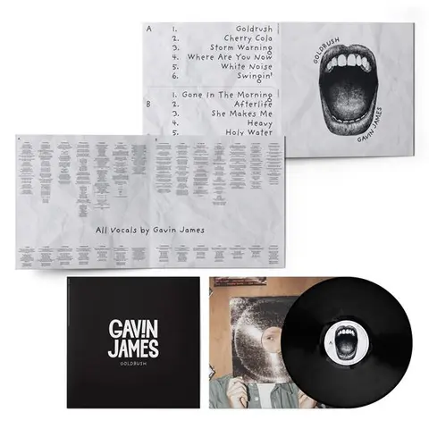 Gavin James Goldrush (LP) 