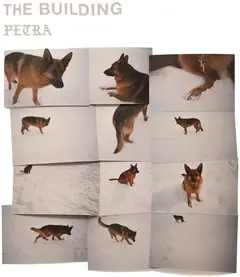 The Building Petra (LP)