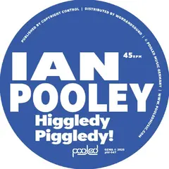 Ian Pooley Higgledy Piggledy! (12")