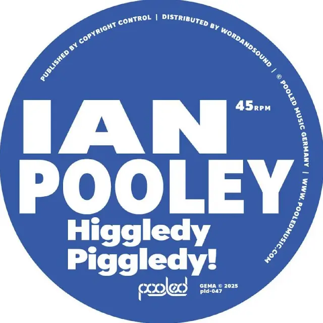 Ian Pooley Higgledy Piggledy! (12") 