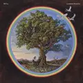 Bill Fay Countless Branches - LTD (2LP)