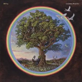 Bill Fay Countless Branches - LTD (2LP)