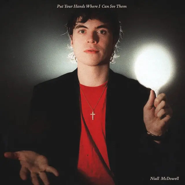 Niall McDowell Put Your Hands Where I Can See Them (LP) 