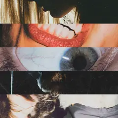 Nick Murphy Missing Link (LP)