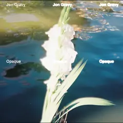 Jon Gravy Opaque (LP)