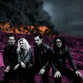 The Dead Weather Dodge &amp; Burn (LP)