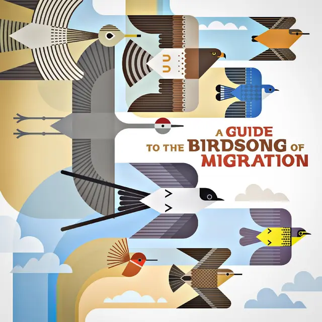 Diverse Artister A Guide To The Birdsong Of… (LP) 