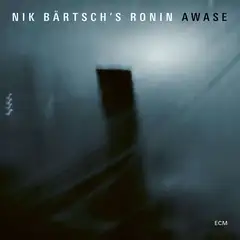 Nik Bärtsch's Ronin Awase (2LP)