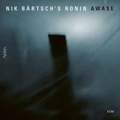Nik Bärtsch's Ronin Awase (2LP) 