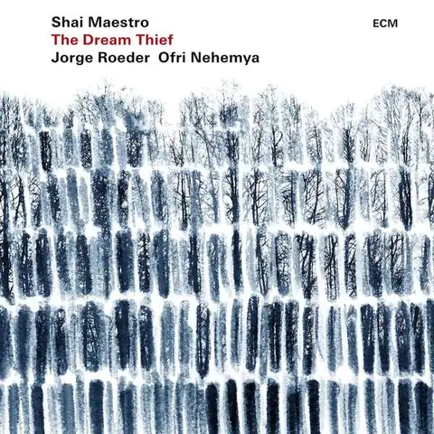 Shai Maestro The Dream Thief (LP) 