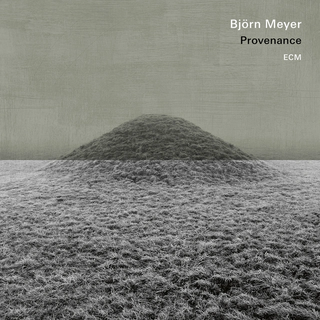 Björn Meyer Provenance (LP) 