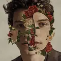 Shawn Mendes Shawn Mendes (LP)