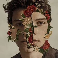 Shawn Mendes Shawn Mendes (LP)