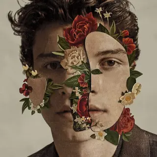 Shawn Mendes Shawn Mendes (LP)