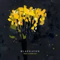Blaenavon That's Your Lot (2LP)