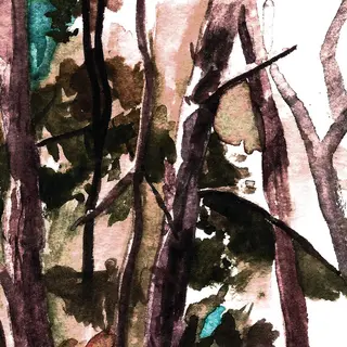 Hop Along Bark Your Head Off, Dog (LP)