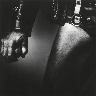 Accept Balls To The Wall (LP)