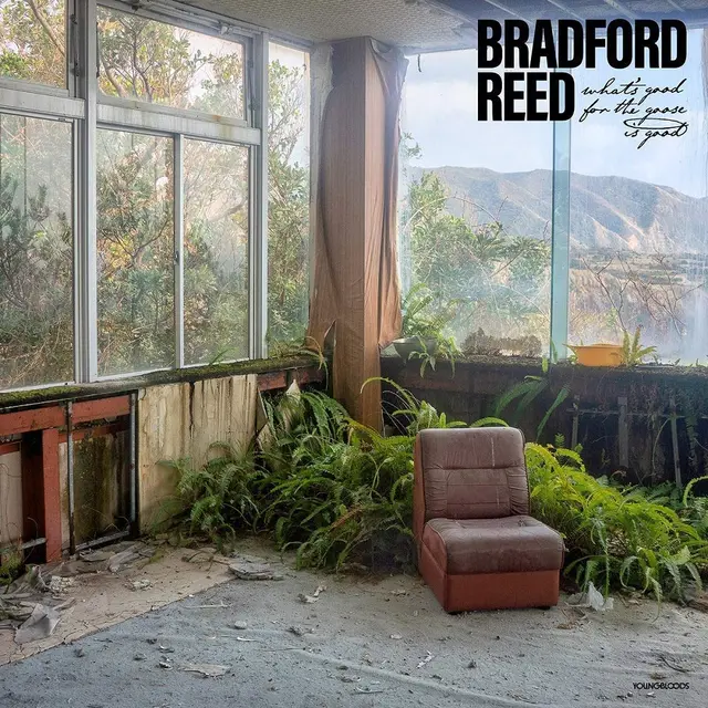 Bradford Reed What's Good For The Goose Is Good (LP) 