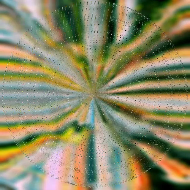 Nils Hoffmann Everlight (LP) 