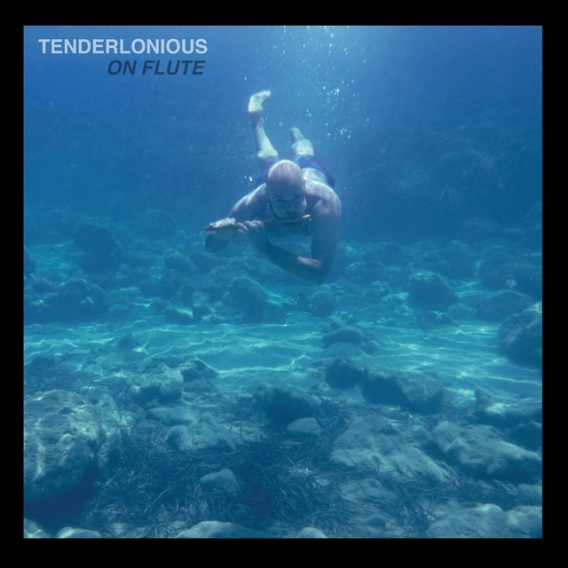 Tenderlonius On Flute (LP) 