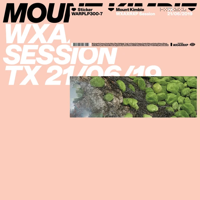 Mount Kimbie WXAXRXP Session TX: 21/06/19 (12") 