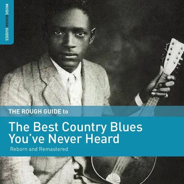 Diverse Artister Rough Guide To The Best Country… (LP) 
