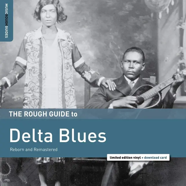 Diverse Artister Rough Guide To Delta Blues (LP) 
