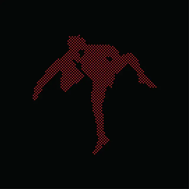 DumDum Boys Løsøre (LP) 